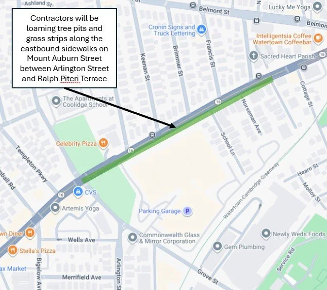 Mount Auburn Street Project Update - Week of November 10 through